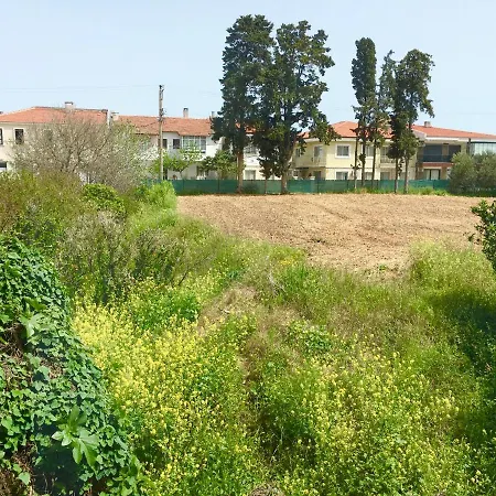 Izmir çeşmede Yazlık Kışlık Daire Çeşme